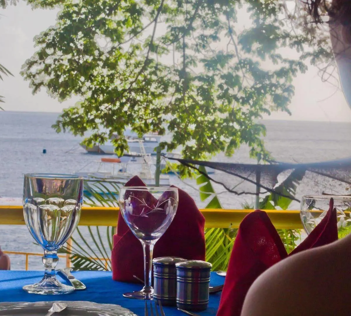 Castle Comfort Lodge Roseau